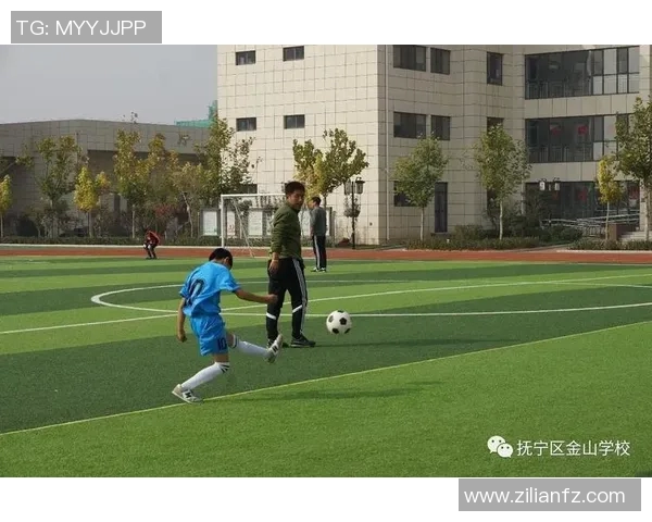 抚宁地区足球明星盘点及其在足球界的影响力分析